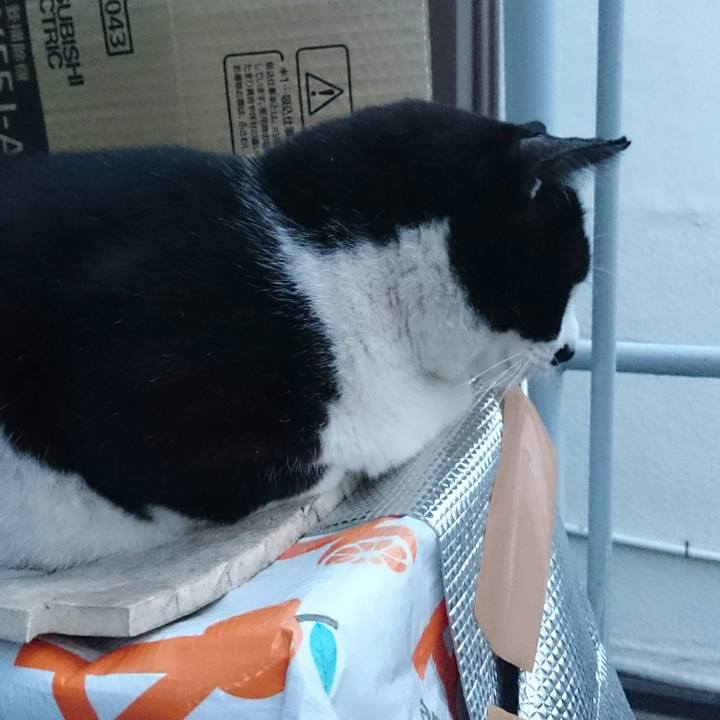 2cd6b0ff c3bf 48bf bb4a efc382ab259a