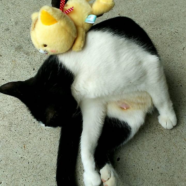 2cd6c42b c3e7 4036 a4f8 269a5aa4f0fd