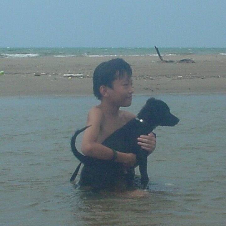 2cd78cc3 d911 434e 99dd cb1ced38a479