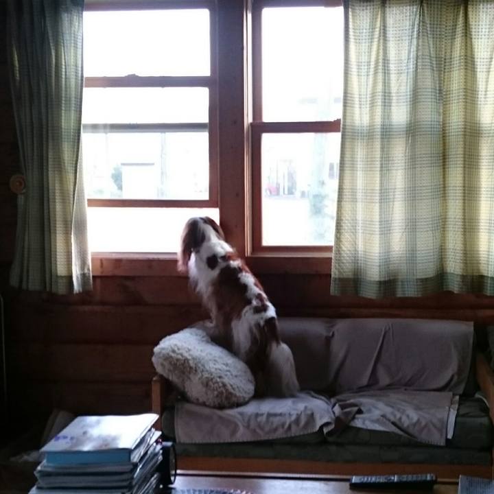 2cd7bdda d465 4e2d b14c 5ad65ca883bd