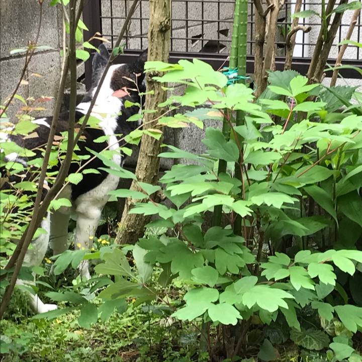 2cd7e928 cdce 44b7 b57d 0cc57afb5c0e