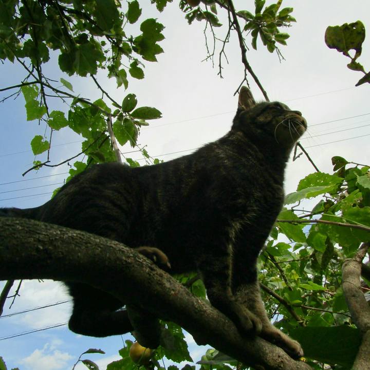 2cd8337f 0b77 411a ad02 204fc72657c6