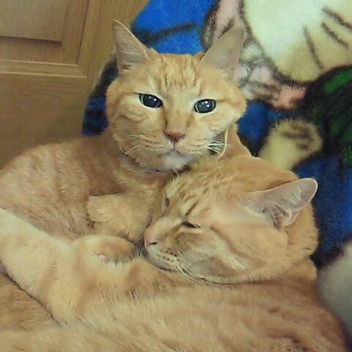 2cd8750a d9f3 434f 9def f53fc0a8e2c6