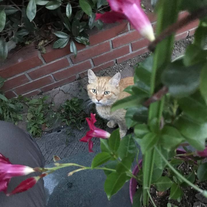 2cd8eafa c26d 499f a44e 34913156b7f8