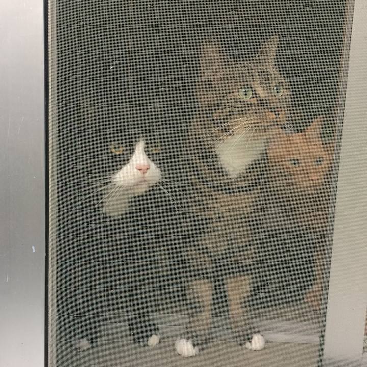 2cd9eca1 df17 4320 98f4 f323cc07c5bb