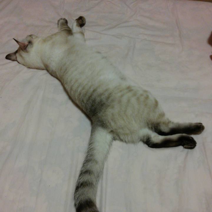 2cda8c35 5b19 427d 9e6f be6317c50e7b