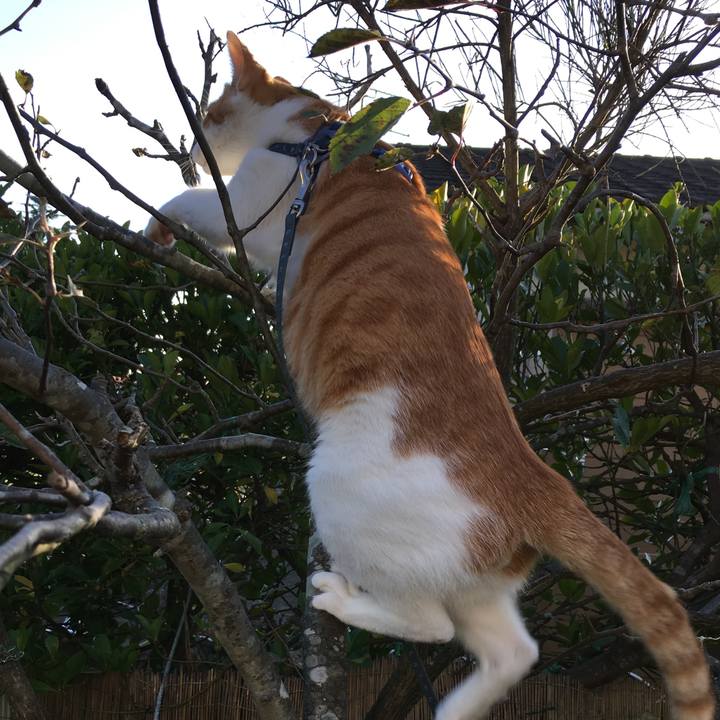 2cdaaeb3 2b61 4344 bb68 e9a80a040bef