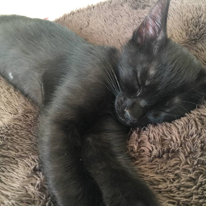 2cdac59a 77d9 4b6b a298 5784161efca9