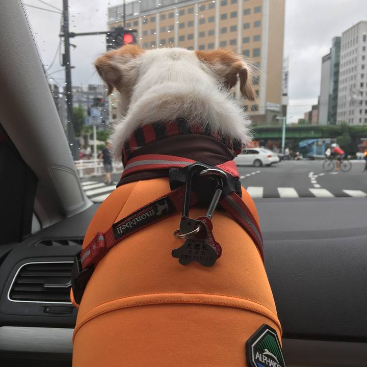 2cdae654 3aa0 410c 8b06 4f2eff223d6f