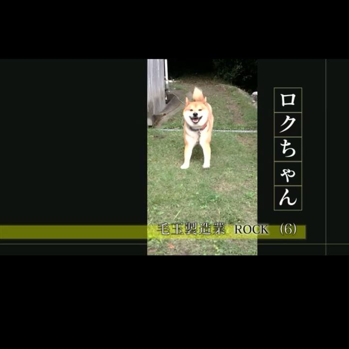 2cdb17b4 eb91 4dba 9844 e460eb663a97