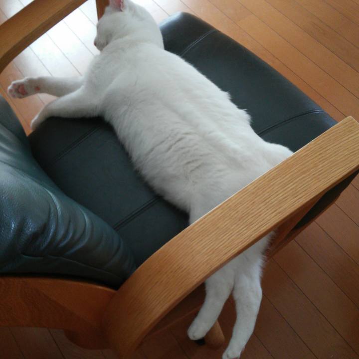 2cdb3c3f 6d6c 48c7 ba90 e86081b2ce4b