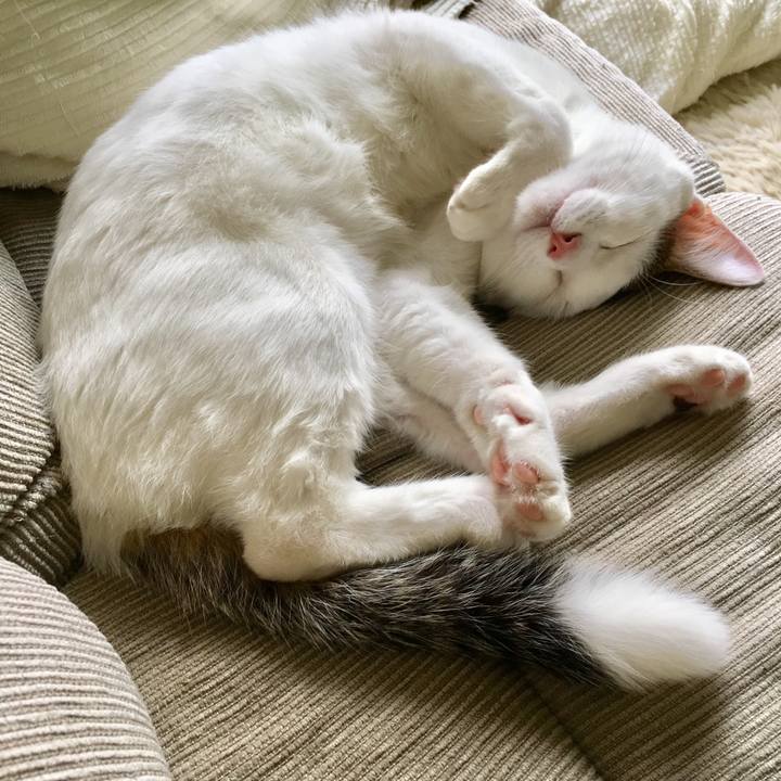 2cdbed35 2163 40ae 8d4b 011fd0acb237