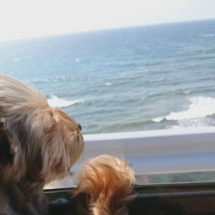 2cdd8bde 471b 4fb1 91eb 37ce236dda98