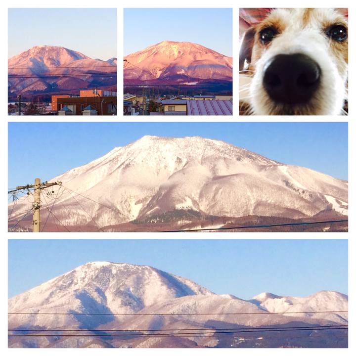 2cdd931e ed90 476f 8c67 4c76979f5515