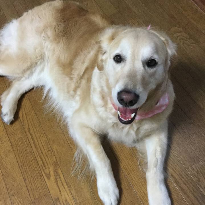 2cdd99ac 09d2 4cc0 9544 10ef222a71cf