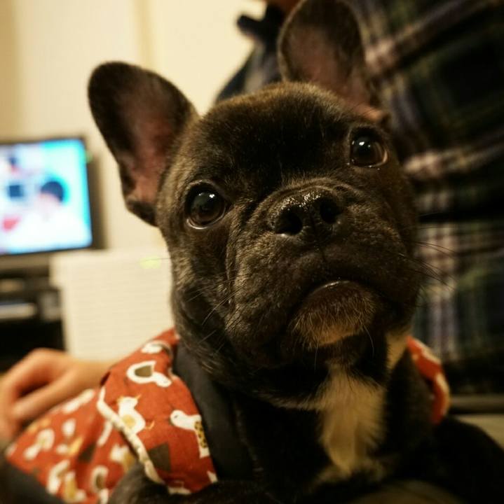 2cddaa09 bb95 476d b68a 05f76497c6d4