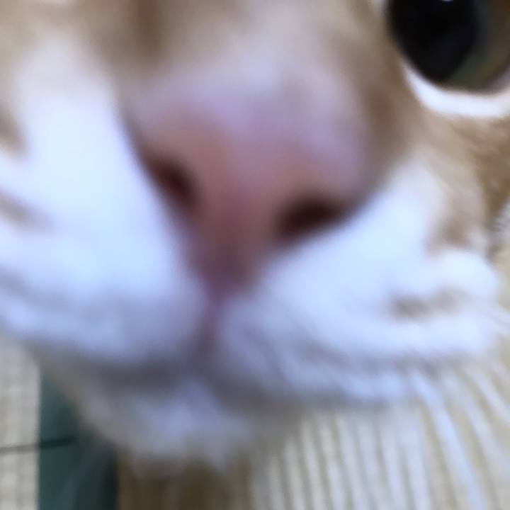 2cde3654 fe56 45db ba64 eaebfdc8d3f8