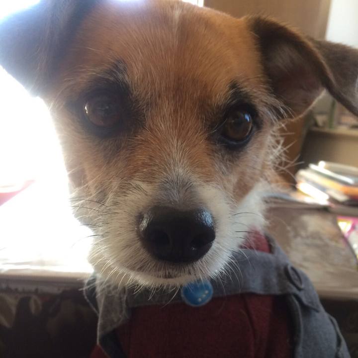 2cde39af 2885 49fe 8478 0df1b95d669b