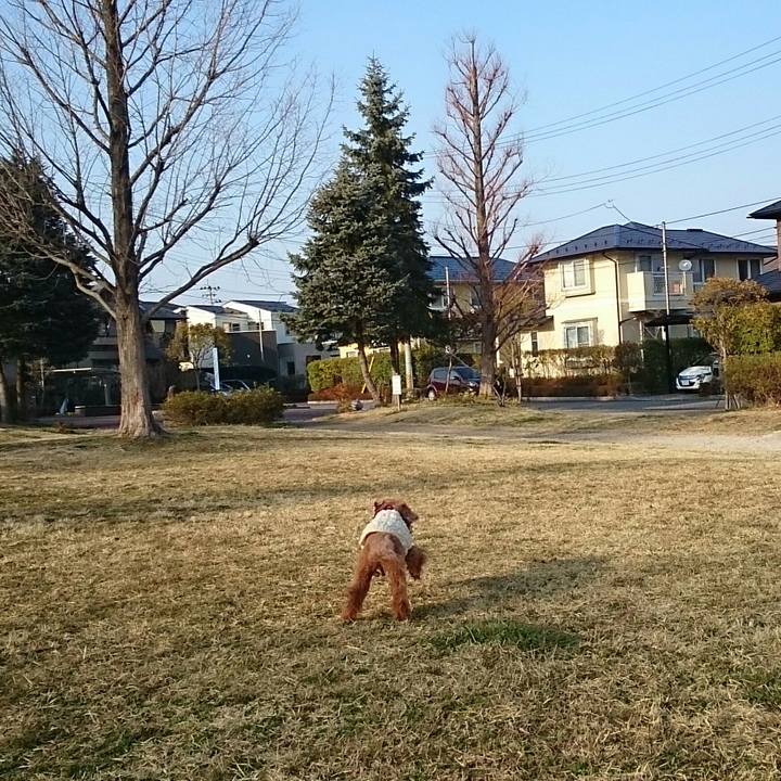 2cdefb69 8a75 450c abea 8841a689bea7