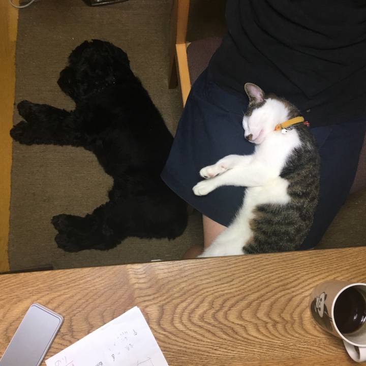 2cdf22ed dc64 4ac1 87b7 d44c6f40c36b