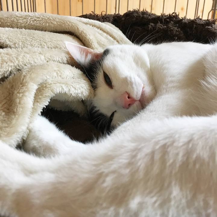 2ce06a7d 8118 490b a87d 982e19582765