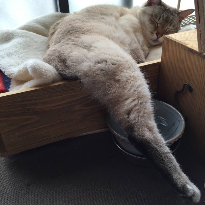 2ce08b9b d28b 49eb 9c45 471234857684