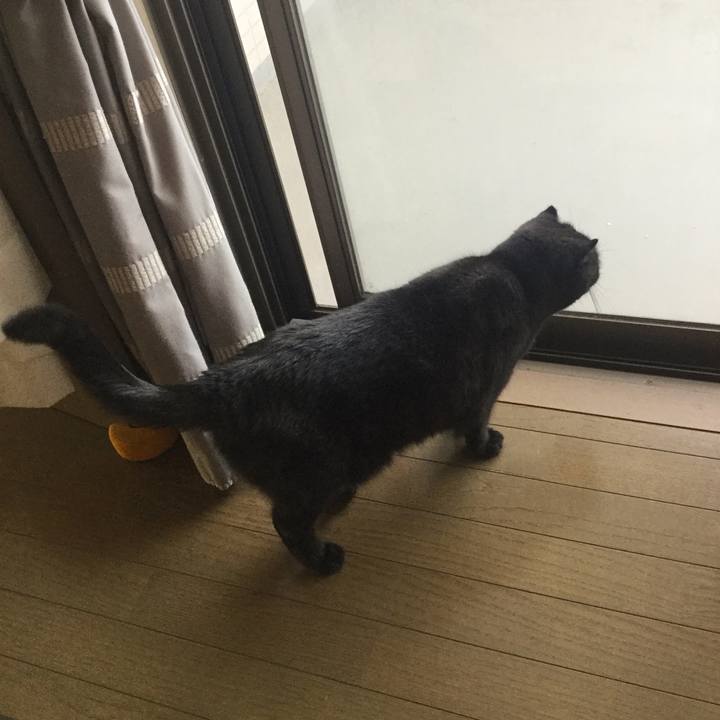 2ce10eb0 dccd 43a4 ad1c 7d4013a810f9