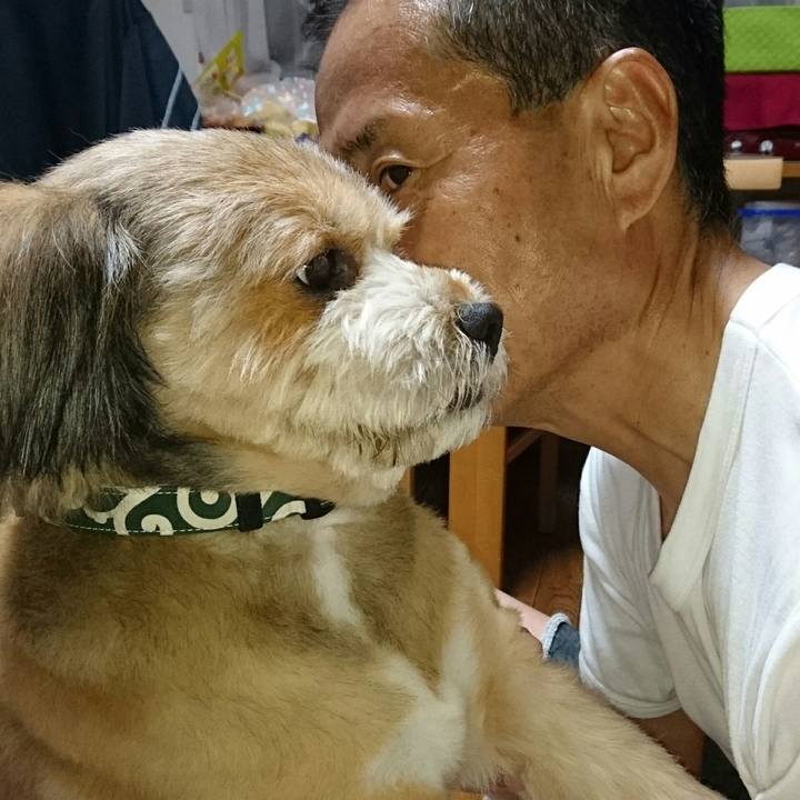 2ce113f3 9205 4cd8 8c97 2790e868369a