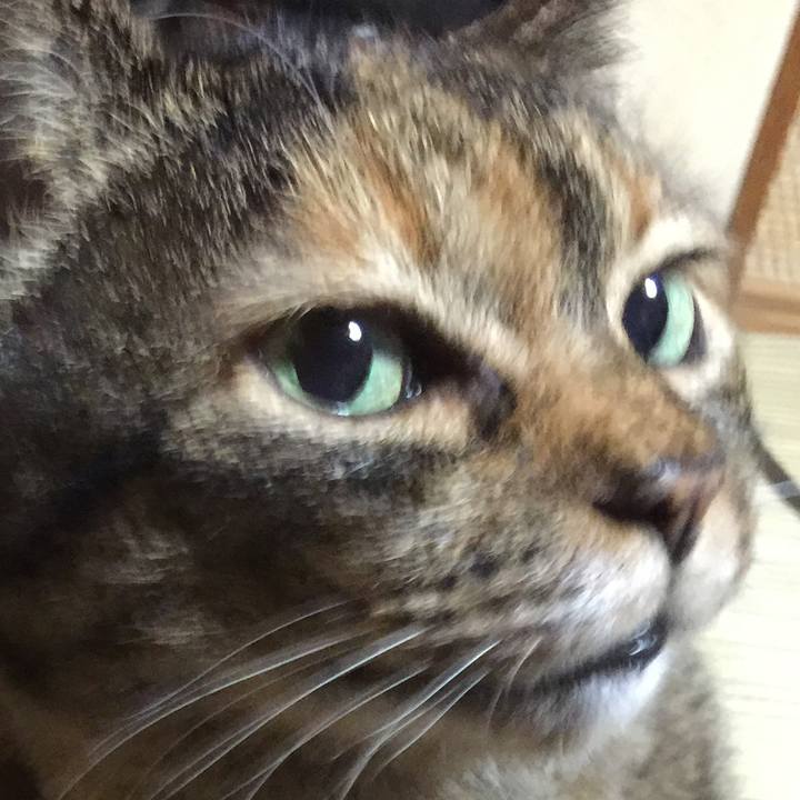 2ce12d7c 8628 4f74 888f 39bcf10ddc27