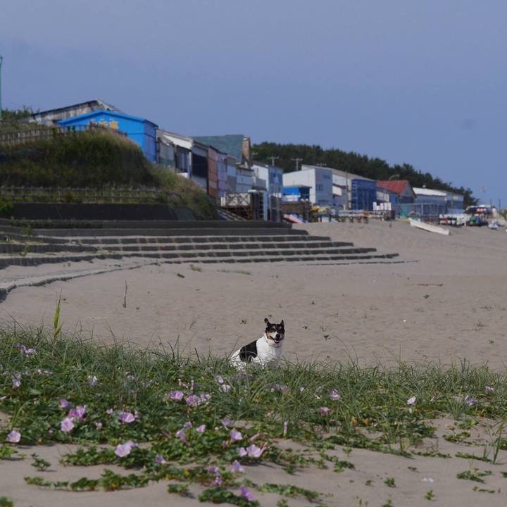 2ce15223 0b59 4164 a548 bf5b32133626