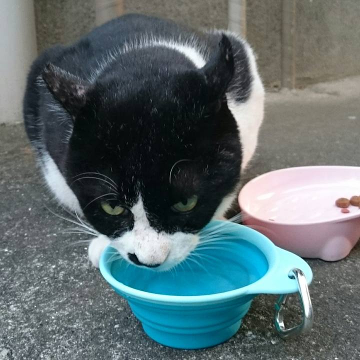 2ce1be07 71a7 4a09 858f 9fa4d9191518