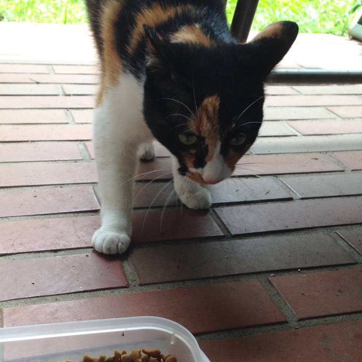 2ce237f6 767b 4b0f be08 2a0d17abe73c