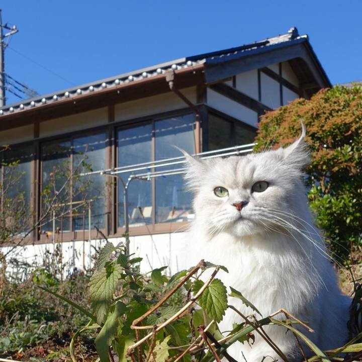 2ce254bb 89dd 4251 b2c1 60c49b6c06a6