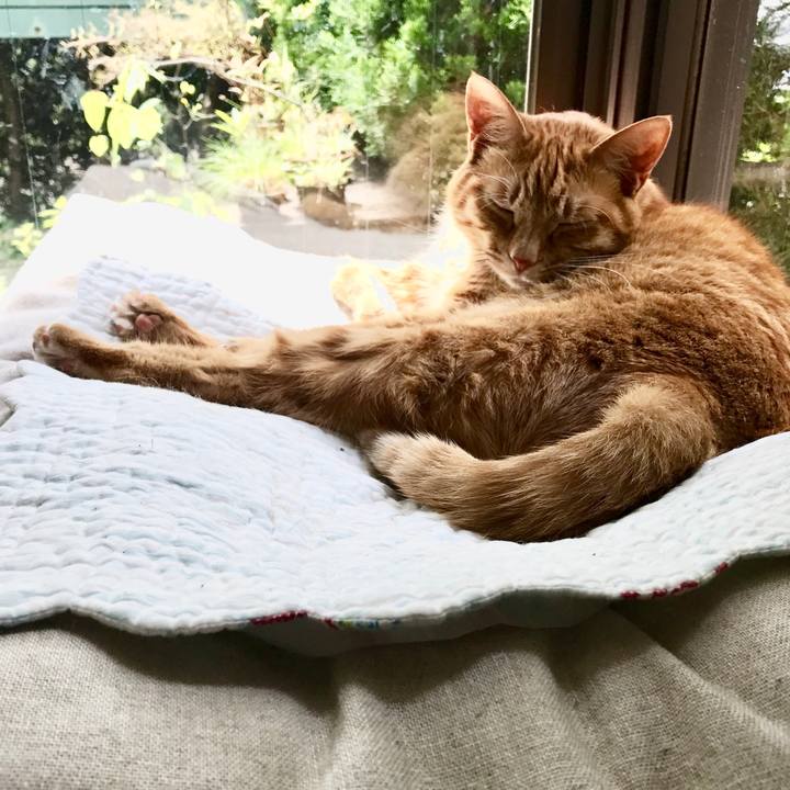 2ce3590e 9134 4d40 a16f f7ea75d2ae48