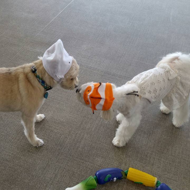 2ce4228e 15bd 4fce be00 9a33250b168f