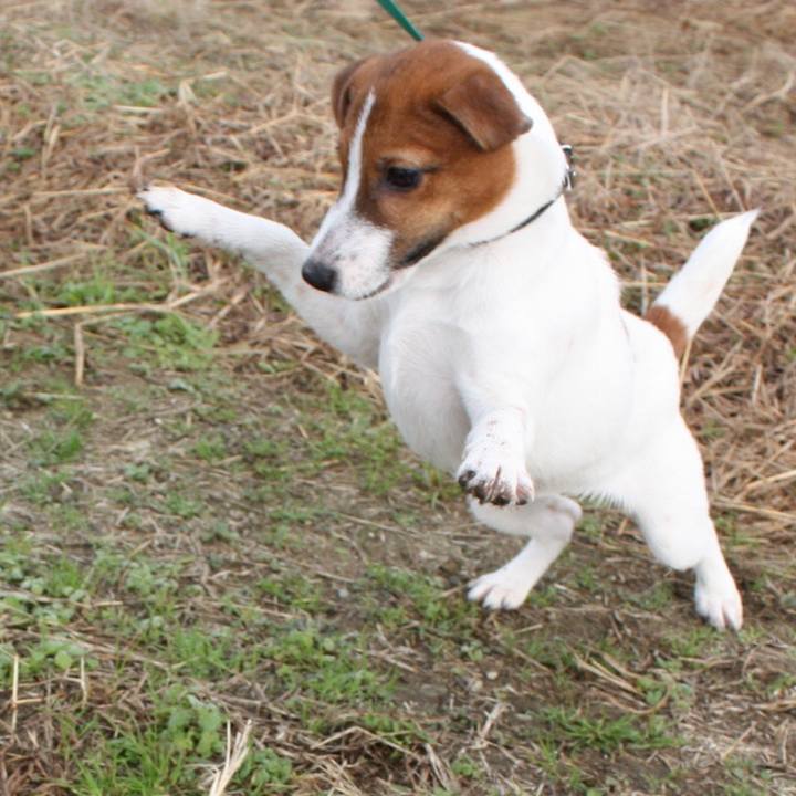 2ce43173 6323 4e97 975c 707f415b6ace