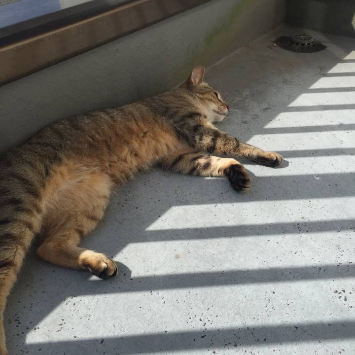 2ce494df a62a 4625 8662 6751bbd98348