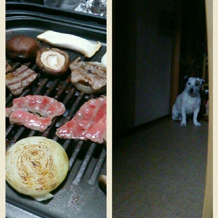 2ce4f266 08b3 4641 9373 f70e7f766755