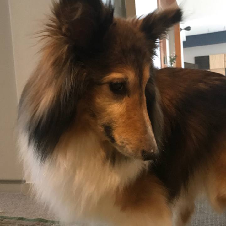 2ce50325 3941 493c 94a9 a0da2c64bfca