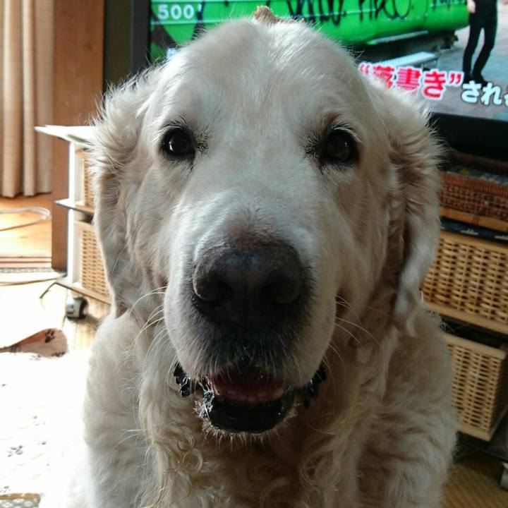 2ce540de 082e 46c3 b89d 6dcc80571967