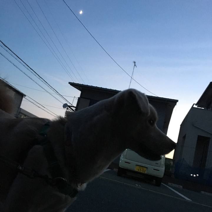 2ce55ad6 59d9 4b09 9764 cf85cb38db1d