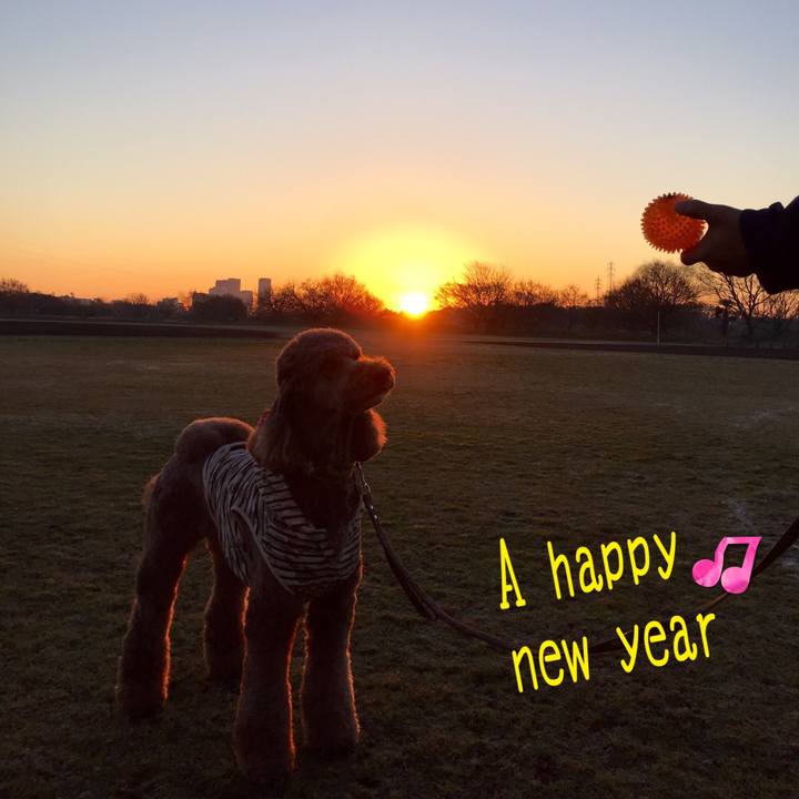 2ce57268 8f59 40ce aabb cb2a1468509e