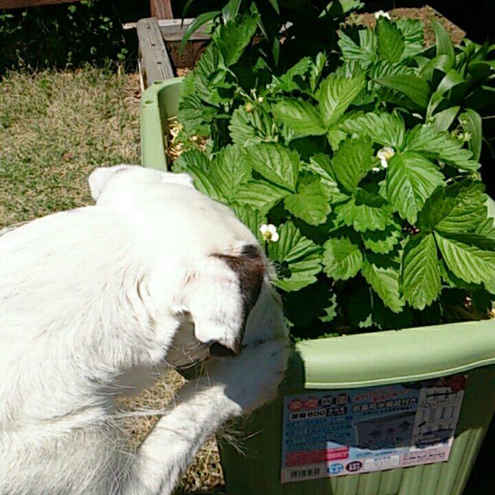 2ce572d8 5ea6 4d18 86a4 fa4e4ec3ceb8