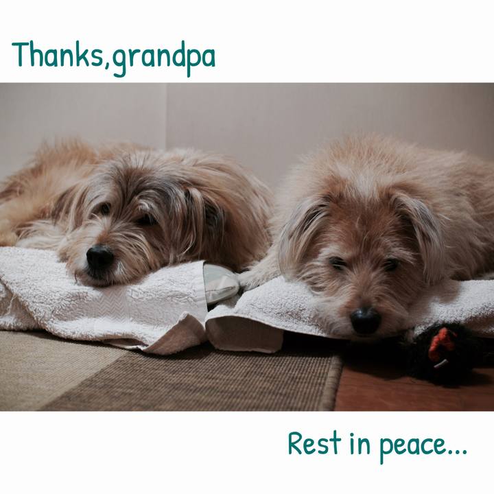 2ce62060 f773 4ccd b67a 512b7f2e4668