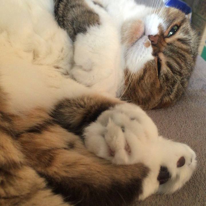 2ce64ce4 eb7e 496b 9a79 9503a62367cd