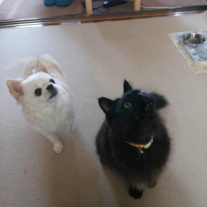 2ce712b6 8c4a 4ad5 bcca f8bfdb07e767