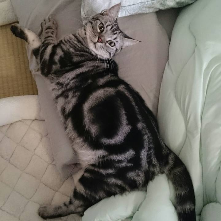 2ce78eb9 a077 45db 8a28 b8489e1a6a3a