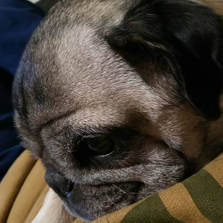 2ce8047c 56f7 430d af96 0e1dc62ffdf3