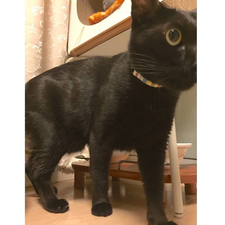 2ce848ed 61e3 45cd bcc3 127fec0a9aa3