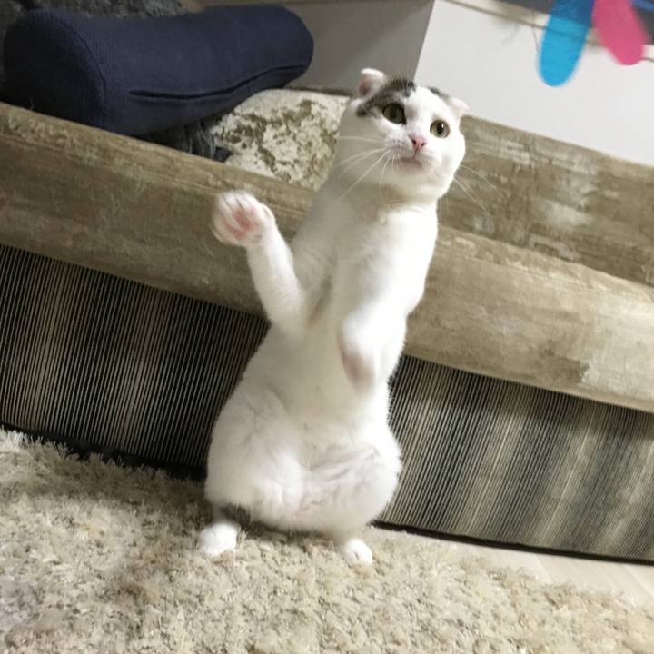 2ce94721 7a12 46cf be50 bdfa377c09dd